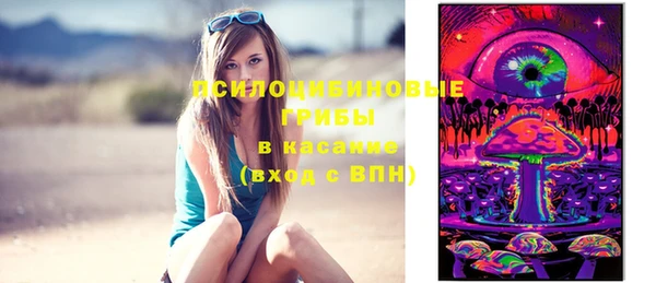 Альфа ПВП Карпинск